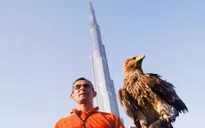 Ngắm nhìn Dubai từ trên lưng đại bàng