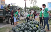 Giới trẻ bán dưa hấu giúp nông dân vùng lụt Quảng Nam