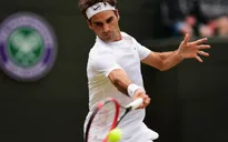 Wimbledon 2015: Andy Murray meets Roger Federer for final spot