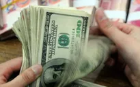 Ngân hàng Nhà nước hạ lãi suất tiền gửi USD về 0%