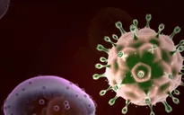 Gần 90.000 người Việt tử vong vì HIV/AIDS