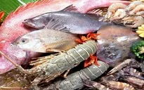 Phát hiện sử dụng chất tạo nạc trong chăn nuôi thủy sản