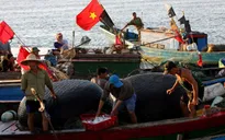 Việt Nam - Indonesia đàm phán phân định Vùng đặc quyền kinh tế