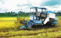 Ưu tiên vốn hỗ trợ xã điểm, xã khó khăn xây dựng nông thôn mới