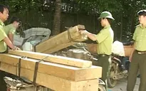 TT-Huế: Bắt 10 mô tô vận chuyển lâm sản trái phép