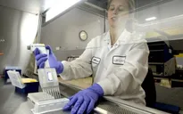 WHO chấp thuận xét nghiệm nhanh đầu tiên phát hiện virus Ebola