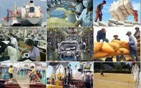 Đẩy mạnh tái cơ cấu khối Doanh nghiệp Trung ương