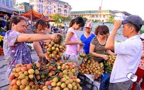 Rượu nếp, trái cây đắt hàng dịp Tết Đoan Ngọ