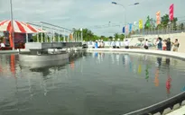 Khánh thành nhà máy xử lý nước thải khu công nghiệp lớn nhất ĐBSCL