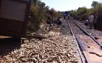 Bình Thuận: Tai nạn nghiêm trọng, đường sắt Bắc - Nam tê liệt nhiều giờ