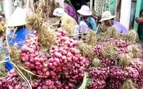 Ngành đường sắt vận chuyển miễn phí hành tím cho nông dân