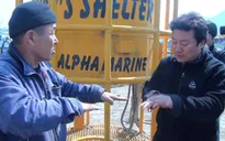 Liên hoan phim Quốc tế Busan bị cắt giảm một nửa kinh phí