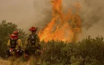 Mỹ: Cháy rừng tại California, 400 căn nhà bị thiêu rụi