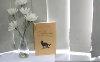 Cuốn sách nên đọc khi đầu óc trống rỗng