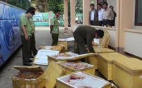 Đăk Lăk: Phát hiện xe khách chở hơn 1 tấn thịt thối