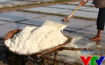 Giá muối giảm, tồn kho tăng cao