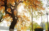 Miền Bắc nhiệt độ tăng nhẹ