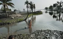 Nước biển dâng sắp "nhấn chìm" Bangladesh