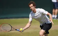 John McEnroe tin Andy Murray đánh bại Nole, vô địch Wimbledon 2015