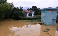 Người dân Quảng Nam 'khóc ròng' do ngập úng