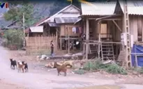 Góc khuất sau chương trình 30a ở Sơn La