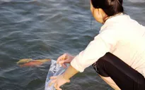 Người dân nô nức thả cá chép tiễn ông Táo về trời