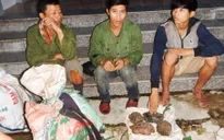 Bắt 11 đối tượng đánh bắt trộm động vật hoang dã