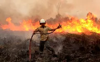 Indonesia phát triển hệ thống kênh rạch kiểm soát cháy rừng