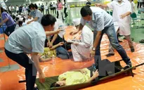 Tiền Giang: Ngộ độc thực phẩm, 47 công nhân phải nhập viện