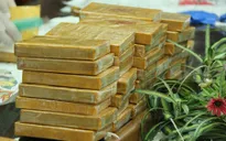 Sơn La: Tuyên án vụ mua bán 36 bánh heroin