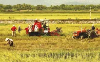 Nông nghiệp, nông thôn chưa tạo lực hút đối với doanh nghiệp