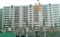 ‘Cò’ BĐS và miếng bánh ‘lúa non’ nhà tái định cư