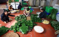 Hà Nội: Làng nghề bánh chưng Tranh Khúc hối hả vào dịp Tết