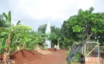 Kỳ lạ giếng khoan phun nước cao 20m như vòi rồng