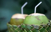 6 lợi ích sức khỏe của nước dừa