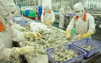 Triển vọng xuất khẩu thủy sản vào thị trường Liên minh Kinh tế Á - Âu