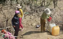 Ninh Thuận: Hơn 18.000 người dân thiếu nước sinh hoạt