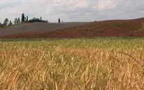 Nguy cơ phát sinh "cuộc chiến thương mại" Italy – Pháp