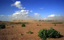 Thế giới mất 1/3 diện tích đất canh tác trong 40 năm qua