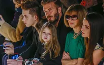 Bố con nhà Becks hí hửng show hàng