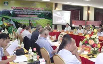 Tham vấn quốc tế về quản lý di sản quần thể danh thắng Tràng An