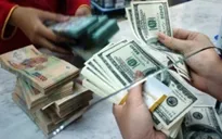 Thị trường ít biến động sau khi NHNN hạ lãi suất tiền gửi bằng USD