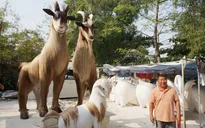 Nghệ nhân với 12 năm tạo hình linh vật đường hoa Tết