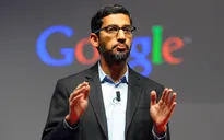 Lý do nào khiến CEO Google tới Hà Nội?