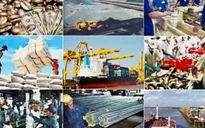 Hội nhập - Thách thức & Cơ hội: Lăng kính đa chiều về quá trình hội nhập