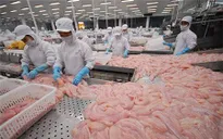 Mỹ lại áp dụng thuế chống bán phá giá cá tra Việt Nam