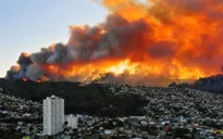 Chile: Cháy rừng, hàng chục hộ dân phải sơ tán
