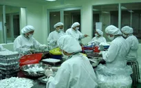 Kiểm tra nhà máy sản xuất thuốc trước khi quyết định nhập