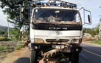 Vụ tai nạn thảm khốc Gia Lai: Tài xế xe tải dùng bằng lái giả
