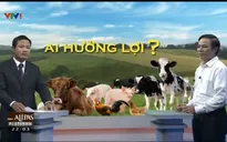 Chênh lệch giá từ chuồng nuôi đến bàn ăn: Ai hưởng lợi?